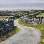 Irish Citizenship by Descent … and Every other Path to an Irish Passport