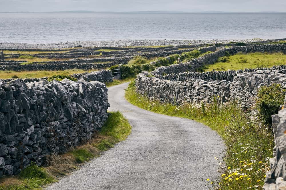 Irish citizenship by descent — winding pathway on Inisheer, Aran Islands, Ireland