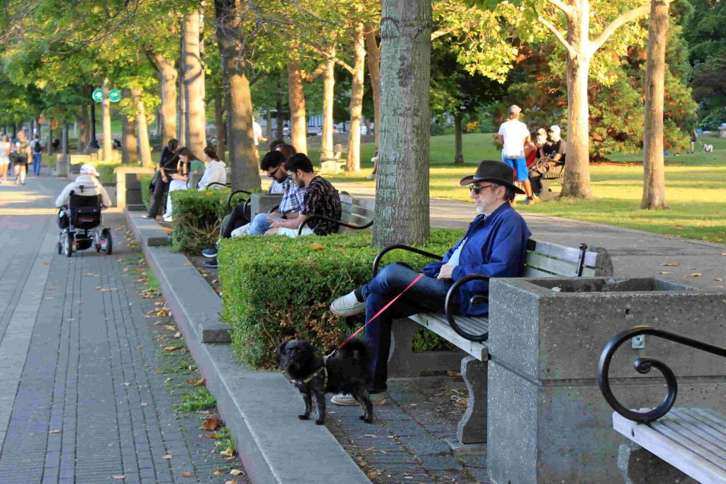 Everyday life in a Vancouver park, part of what a move to Canada actually looks like